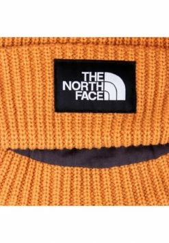 THE NORTH FACE® Beanie SALTY DOG Damen, Herren Topaz -Regenschirme Shop unnamed file 27